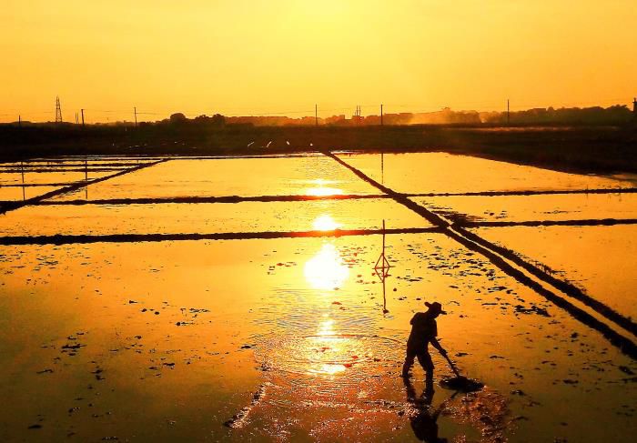 5摄影文章《耕作》获三等奖。韦荣伟 摄-13768307144700.jpg